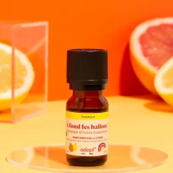 Online Adopt A Fond Les Ballons !