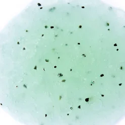 Sale Adopt Coco Lada