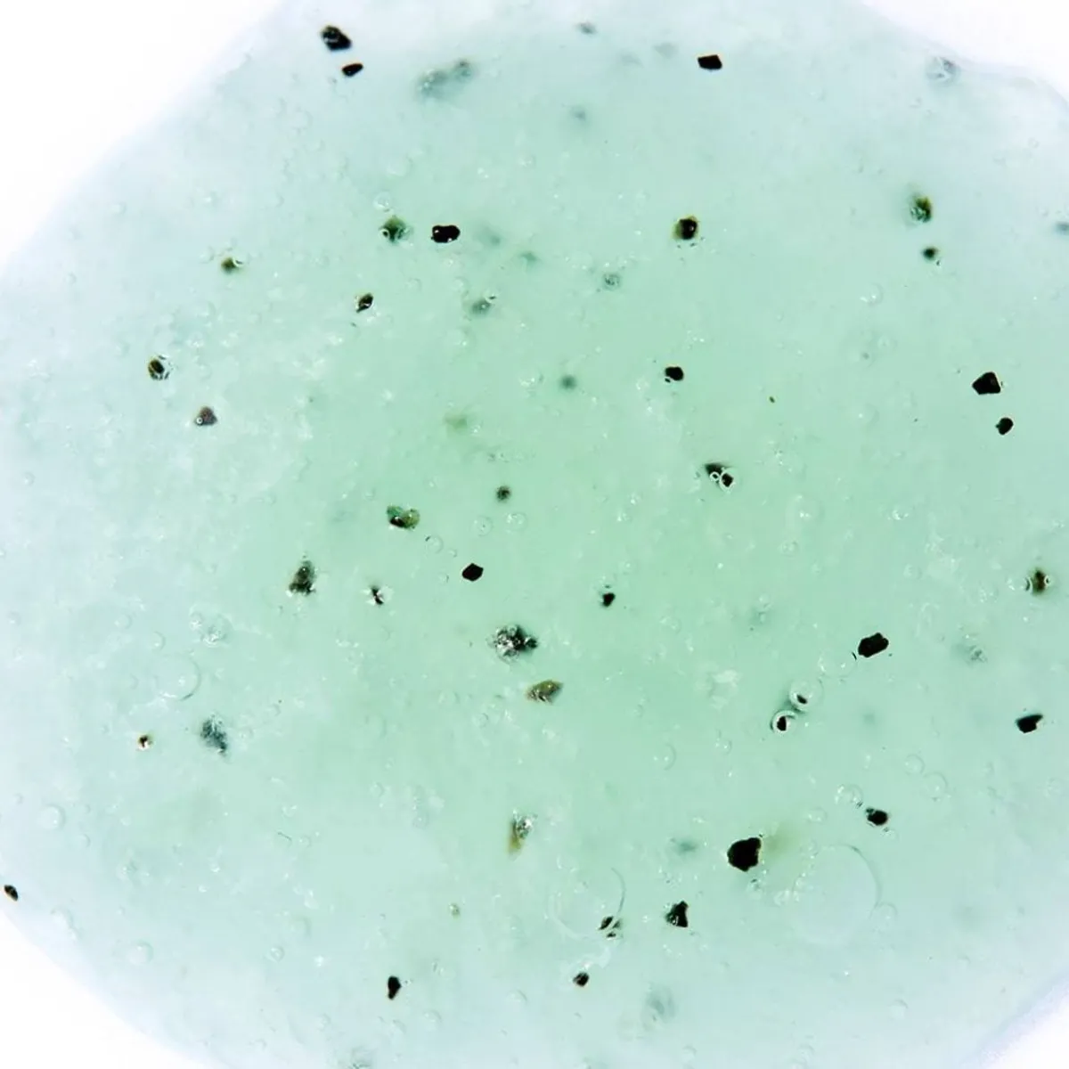 Sale Adopt Coco Lada