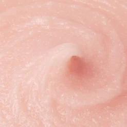 Outlet Adopt Fairy Land