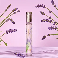 New Adopt Lavande Cherie