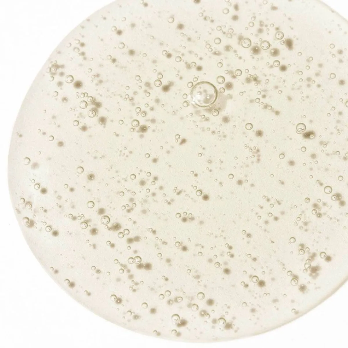 New Adopt Oh Mon Capitaine