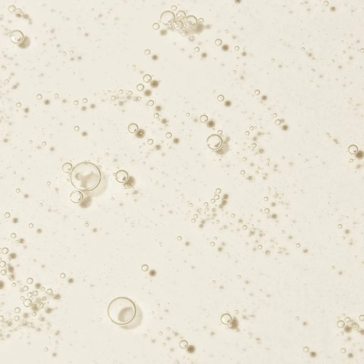 New Adopt Oh Mon Capitaine