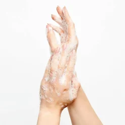 Discount Adopt On Se Detend