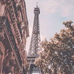 Discount Adopt Paris Reverie