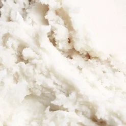 Best Adopt Super Karite