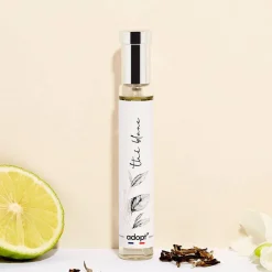 Outlet Adopt The Blanc