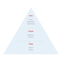 New Adopt Urban Sport