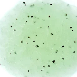 Discount Adopt Verveine Fizz